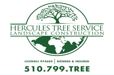 Avatar for Hercules Tree Service and Landscape Construction