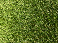 Avatar for Turf and Scape