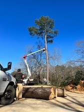 Logo for Sparks & Reid LLC DBA S&R Tree Service