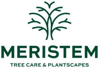 Meristem Treecare and Plantscapes LLC logo