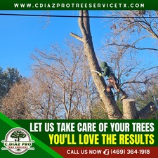 Avatar for Diaz Professional Tree Service