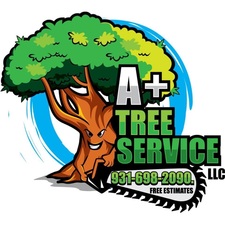 Logo for A+ Tree Service