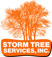Avatar for Storm Tree Services