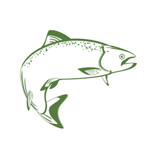 COHO PAINTING LLC logo