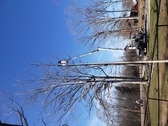 River Valley Tree Service logo