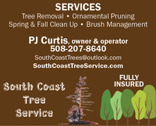Avatar for South Coast Tree Service INC