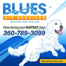 Logo for Blues Air Services