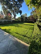 Gabriel Mondragon Landscaping logo
