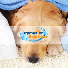 Avatar for DryMasters Solutions
