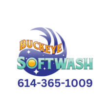 Avatar for Buckeye Softwash, LLC