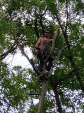 Avatar for Affordable Tree Services