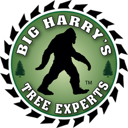 Big Harry's Tree Experts LLC logo