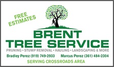 Avatar for Brent Tree Service