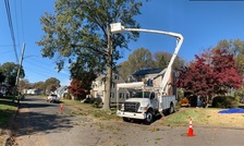 Avatar for Antonio Tree Service
