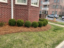 Avatar for C&E Landscaping