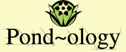 Pondology logo