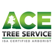 Logo for Ace Tree Removal