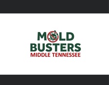 Avatar for Mold Busters