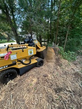 Avatar for Evans Stump Grinding