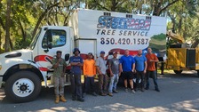 Logo for Stuckman Tree Service South