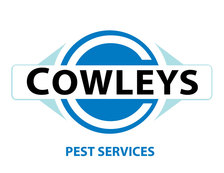 Avatar for Cowley's Bug Out Pest Control, Inc.