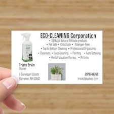 Logo for ECO Cleaning & More