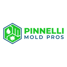Logo for Pinnelli Mold Pros, LLC