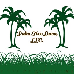 Palm tree lawn  logo