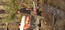 Logo for Walnut Valley Landscapers