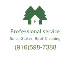 Logo for Professional Roof & Gutter Cleaning Services
