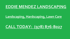 Eddie Mendez Landscaping logo