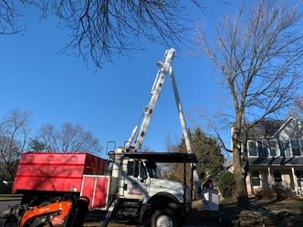 Grant Brothers Tree Service logo