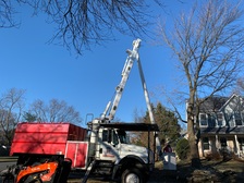 Avatar for Grant Brothers Tree Service