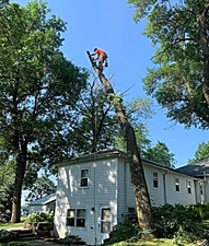 Vance Tree & Landscaping logo
