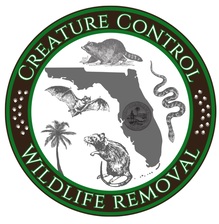 Avatar for Creature Control