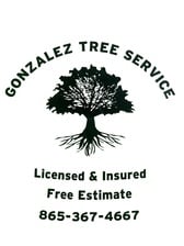 Avatar for Gonzalez Tree Service