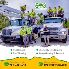 Logo for 503 Tree Service