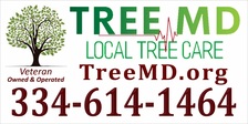 Logo for Tree MD Local Tree Care