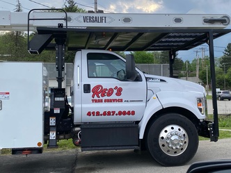 Red's Tree Service, LLC logo