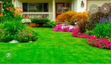 Logo for Elias Landscaping Service LLC