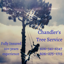 Avatar for Chandler's Tree Service