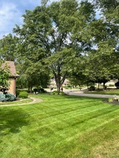 Logo for Solid Green Lawn and Landscaping, LLC