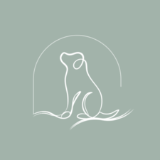 Logo for CC&K, LLC
