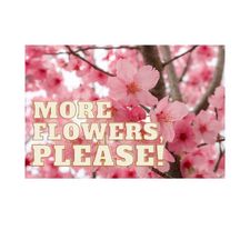 Logo for More Flowers, Please!