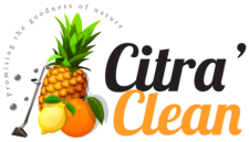 Logo for Citra Clean