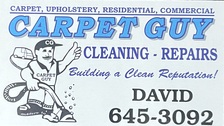 Carpet Guy logo