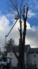 Avatar for Jedd's Tree Service