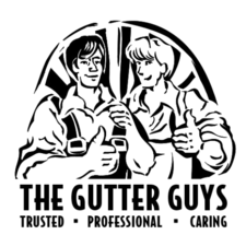 Avatar for The Gutter Guys