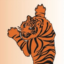 Avatar for TIMBER TIGER TREE SERVICE