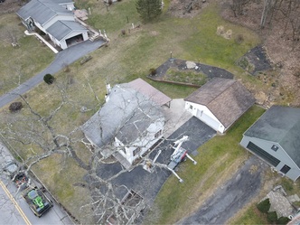 Tipping Timber Tree Removal logo